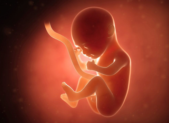 佛山试管婴儿：组织细胞吞噬性脂膜炎，常见症
