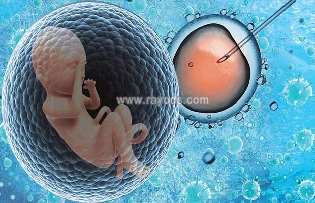 如果胚胎移植后出血，是不是广东试管婴儿的失