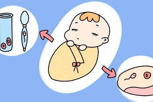 试管婴儿期间可以接种新冠疫苗吗？