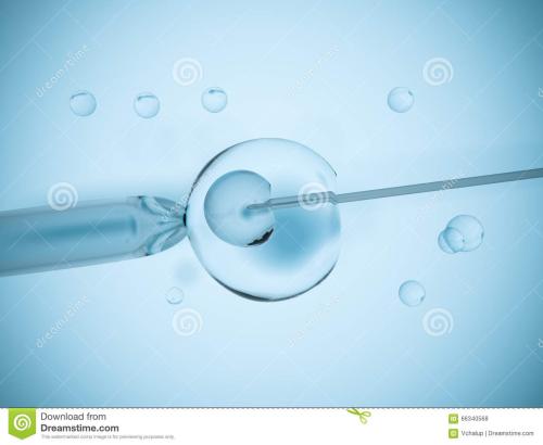 50岁借卵包成功:胚胎移植后洗澡会影响胚胎的受精吗？