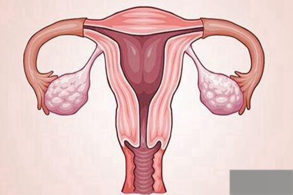 高龄借卵公司_女性在胚胎手术后有什么需要注意的吗