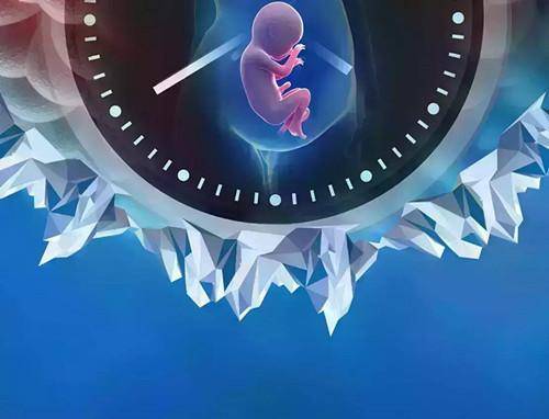 合法三代试管婴儿生殖中心_5月8日，排卵，怀孕5个月，等待正式排卵。