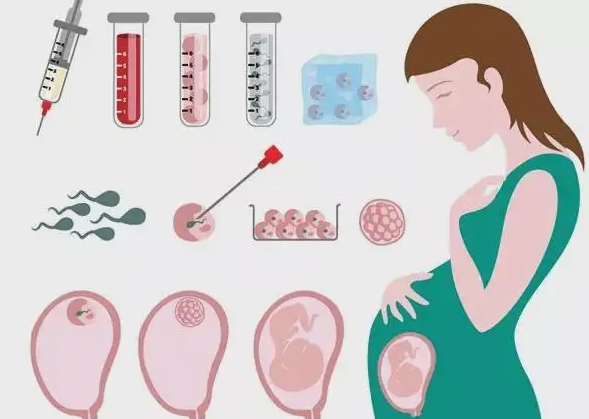 影响卵巢早衰的试管婴儿成功的因素（卵巢早衰是如何发生的）。