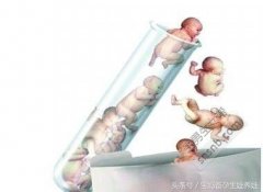 有趣的怀孕新闻│一个八胞胎通过试管婴儿出生
