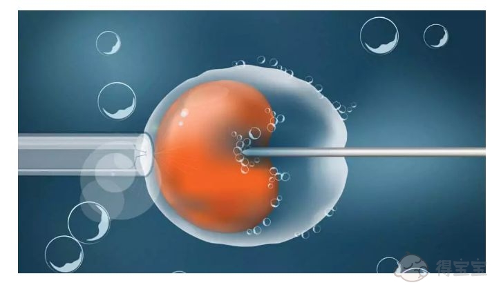囊胚如何分类用于试管婴儿？哪些胚胎是最好的？