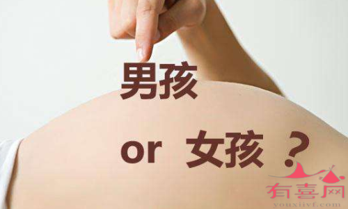 台湾男同供卵试管：在台湾做试管婴儿可以选择男人还是女人？