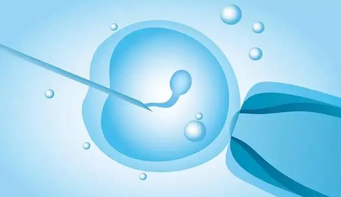 长沙助孕中介-试管婴儿移植时注射法尼胺有什么作用？