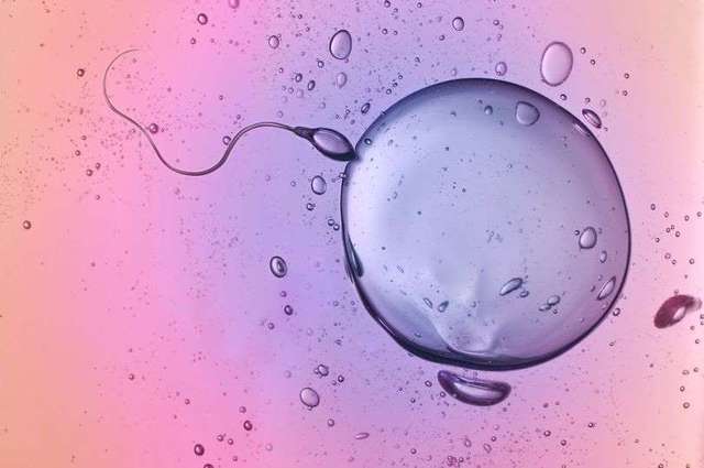 泉州50岁助孕男孩-通过格鲁吉亚的体外受精，可以生出儿子，男孩和女孩的比例是50/50