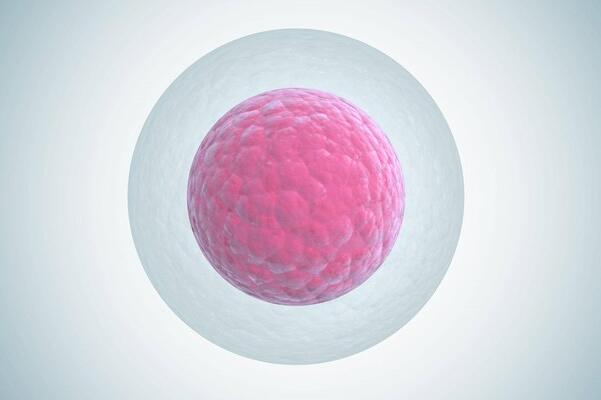 苏州A卵B怀-胚胎的质量和男性精子之间有关系吗？